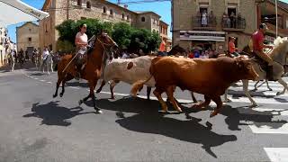 Entrada Bous i Cavalls Atzeneta del Maestrat 2022