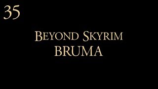 35【RPG】スカイリム【Beyond Skyrim - Bruma】: 大型New Land 追加MOD  日本語