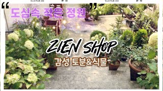 감성 토분가게/ 지앤숍 🪴 JAZZ with ZIEN🎼🎶