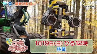 1/19(日)ひる12時　【関口宏のこの先どうなる！？】国土の7割が森林の、日本の林業復活のカギは？