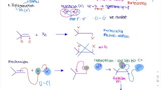 เคมีอินทรีย์ระดับมหาวิทยาลัย | Organic Chemistry ครั้งที่ 11 ปฏิกิริยาของ alkene (Halogenation)