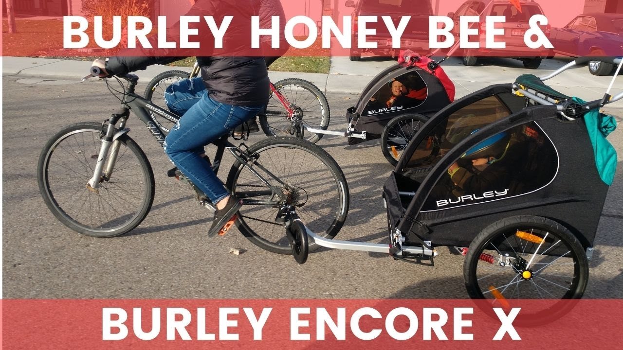 Burley Honey Bee AND Burley Encore X Bike Trailer Reviews - YouTube