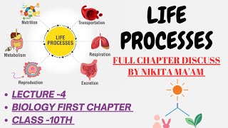 Aerobic and Anaerobic respiration | Class 10th science | Chapter 5 | Lecture-4 || NIKITA MA'AM ||