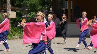 花町百人衆  武蔵高麗郡よさこい交流会 こまフェス