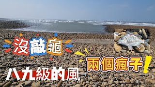 海岸線 鵝卵石 沙岸 磯釣 阿波 風大 沒地方跑 稍微閃風 苗栗 後龍 沿岸 不凍蝦 黑鯛 黑格 黃鰭鯛 河豚 20241228