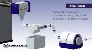 Kongskilde MultiDicer (Español)