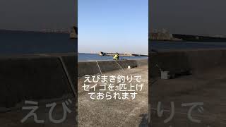 3/30動画　芦屋店から車で10分の西宮ケーソン