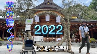 【亀ヶ池八幡宮】氏神神社で茅の輪くぐり🌈✨祓戸大神？祓戸四神？ 瀬織津姫 ？⛩ ひとり車内反省会で、じゅにてんが激おこ？！ まだ人の目を気にしている自分への気づき💡自分を信じよう☆楽しもう