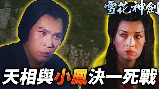 天相與青梅竹馬小鳳決一死戰？！｜雪花神劍｜楊恭如｜陳煒｜袁文傑｜姜大衞｜龔慈恩｜徐少強｜米雪｜港劇精華