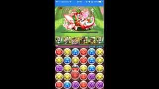 【パズドラ】紅の華龍　地獄級　【アテナパ】