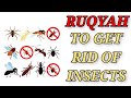 POWERFUL RUQYAH TO GET RID OF INSECTS .