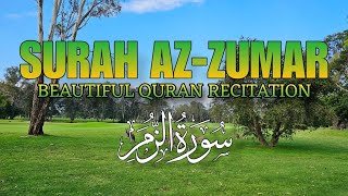 Beautiful Quran Recitation | Surah Az-Zumar سورة الزمر | Beauties of Australia