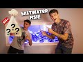 SURPRISING Paul With NEW SALTWATER FISH For His AQUARIUM!!