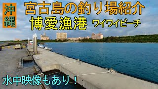 楽しさ満点！宮古島の博愛漁港の釣り場とワイワイビ－チを紹介。はじめて行く人は必見。水中映像も少しあり（宮古島の釣り情報）。