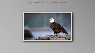 2023 CAPTAIN DAVES SLIDESHOW