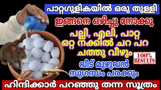 ഹിന്ദിക്കാർ പറഞ്ഞു തന്ന സൂത്രം ഇതാണ്!എലി,പല്ലി,പാറ്റ ചറപറാ ചത്തു വീഴും/വീട് മുഴുവൻ സുഗന്ധം പരക്കും