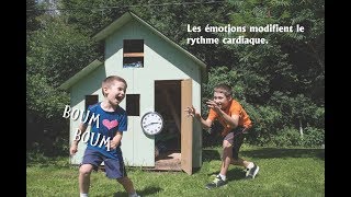 #6 [Trouve ton rythme] Les rythmes ultradiens