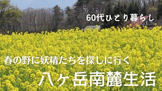 【八ヶ岳南麓60代一人暮らし】#60 小2で母が亡くなった話・私の小さなヒストリー②/ 春の妖精たち(スプリング・エフェメラル)を探す/八ヶ岳南麓の花遊び/猫たち/移住暮らし/田舎暮らし/シニアライフ