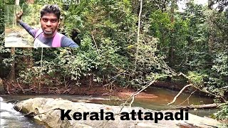 KERALA TAMILNADU BORDER LA☺ IPPADI ORU PLACE HA ..? ATTAPADI🥰