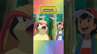 Ash's Pidgeotto triumphant return😭#pokemon #ashpikachu #ashpokemons#pidgeot #pidgeotto #fyp #fypシ゚