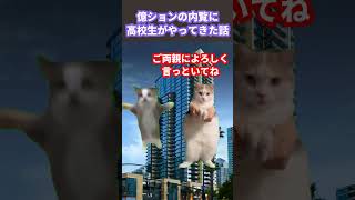 高校生が億ションの内覧に来た話 #猫ミーム #shorts