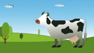 K1 Donut Project : Cow And It's Fact Part 2