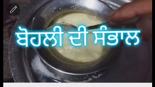 Saved colostrum used today  ਸੰਭਾਲੀ ਬੋਹਲੀ ਦੀ  ਵਰਤੋਂ..... ਕਿਵੇਂ❓