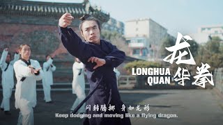 Wudang Longhua Quan: Moving like a flying dragon