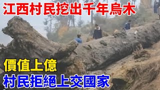 2013年江西村民挖出一根千年烏木，價值上億，村民拒絕上交國家【奇遇天下】 #鑒寶 #考古 #考古發現 #小閆打鐵鐲