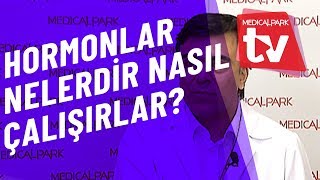 Hormonlar Nelerdir ve Nasıl Çalışırlar   Medical Park   TV