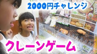 クレーンゲーム2000円で何個取れるかな？★にゃーにゃちゃんねるnya-nya channel