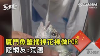 廈門魚蟹捅棉花棒做PCR 陸網友:荒唐｜TVBS新聞