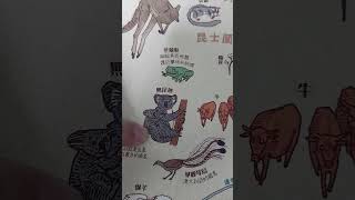 好書分享-【地圖】澳洲篇