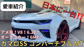 カマロSSコンバーチブル 6MT！日本に一台⁉️な愛車を紹介！