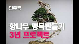 44. 향나무 명목만들기 I 3년 프로젝트