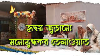 হৃদয় জুড়ানো মনোমুগ্ধকর তেলাওয়াত #হৃদয় #জুড়ানো #তেলাওয়াত