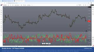 Commitments of Traders Review - COT Report 6/2025! Euro Buy?