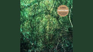 La Selva (Sound Environments from a Neotropical Rain Forest)