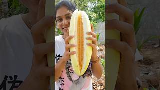 തനിയെ പൊട്ടുന്ന fruit തണുപ്പിച്ച് കഴിച്ചാൽ മഞ്ഞ് പോലെ #fruittasting #juicemaking #gaintfruit #shake