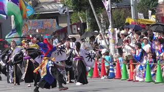 長南紅古蓮 「カノエサル～庚申塔三年十八回の戦い～」 茂原七夕まつり よさこい夏の陣2019 審査会場 パレード演舞 【よさこい】