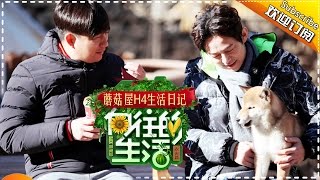 《向往的生活》蘑菇屋H4生活日记第9期20170221：黄磊何炅卖家产？刘宪华花式“撩”大张伟【湖南卫视官方频道】