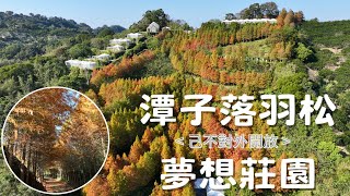 (己不對外開放!!不用特地來)台中潭子落羽松夢想莊園 | 落羽松系列 | 4K空拍