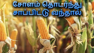 சோளம் தொடர்ந்து சாப்பிட்டு வந்தால்