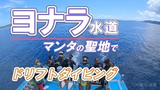 【石垣島 ダイビング】ヨナラ水道のレイリバーでドリフトダイビング。マンタの海でスキューバダイビング。Encountered manta rays while drift diving.