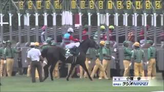 【競馬】京成杯ＡＨ　２０１５年【大金勝負】