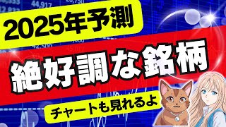 絶好調な銘柄を教えちゃう！本来の投資をしたい人におすすめ動画です。AI、半導体、宇宙、防衛、メガバンクなどチャートを見れます【株式投資,NISA,FIRE,セミリタイア,資産運用】