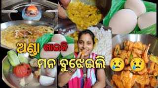 ବହୁତ ଦୁଃଖରେ ଆଜି ଖାଇଲି ଅଣ୍ଡା 🥚🥚 || @mokadeichula2983