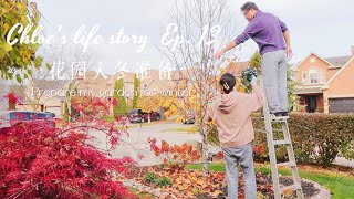 Chloe's Life Story | Ep.13 | 花园入冬准备｜室外圣诞灯装饰｜Outdoor Christmas Lights Decoration｜Garden for winter