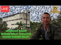 live || membahas rumah burung walet suara dan sarang burung walet ||