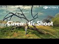 DJI Action 2 Cinematic Shoot | Harmony with Nature #djiaction2 #cinematicfootage #cinematicvideo